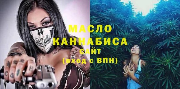 индика Верхний Тагил
