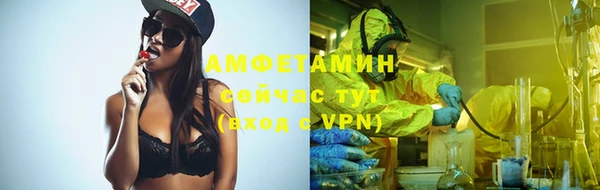 индика Верхний Тагил