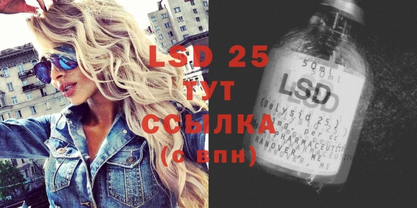 индика Верхний Тагил