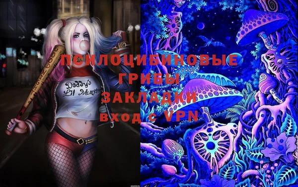 индика Верхний Тагил