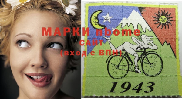 индика Верхний Тагил