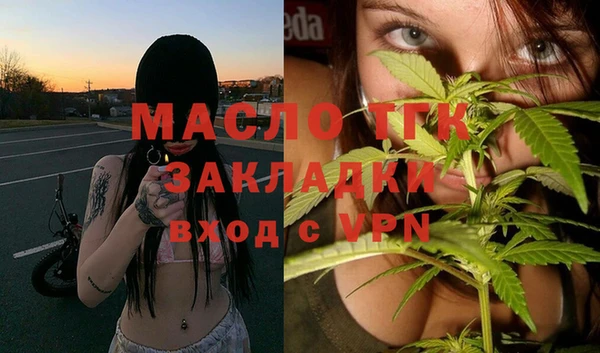 индика Верхний Тагил
