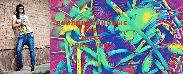 индика Верхний Тагил