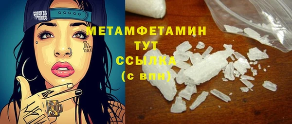 индика Верхний Тагил