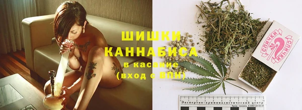 индика Верхний Тагил