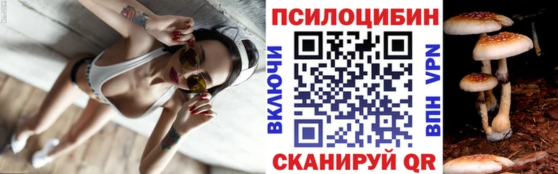 Галлюциногенные грибы Psilocybine cubensis  Купить  Петров Вал 